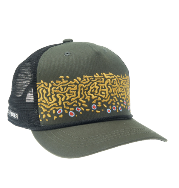 Rep Your Water Brook Trout Skin 2.0 5-Panel Hat BRSD51 5P